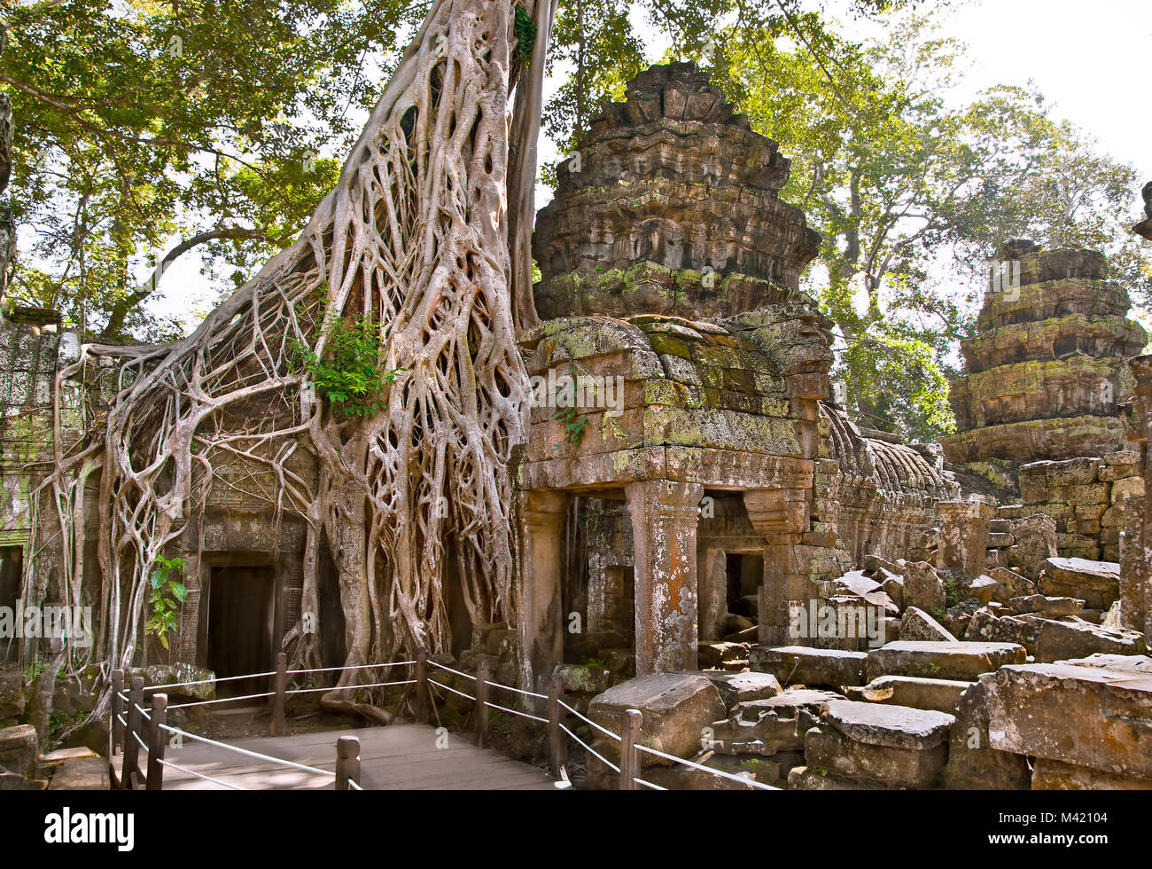 Prasat Ta Prum o Ta Prohm tempio complesso, vicino a Siem Reap, Cambogia. Foto Stock