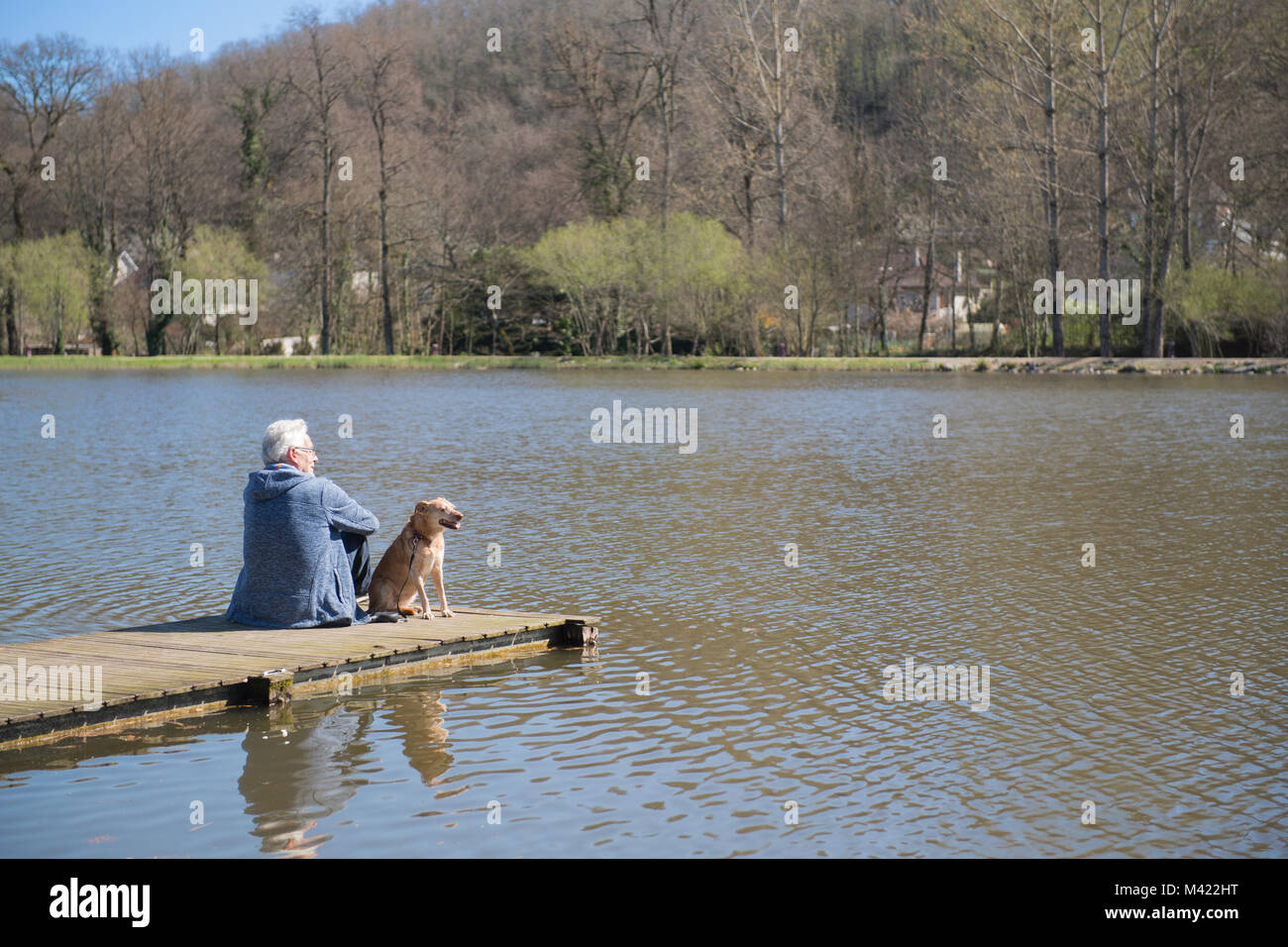 Uomo seduto con il suo cane sul pontile in natura il lago Foto Stock