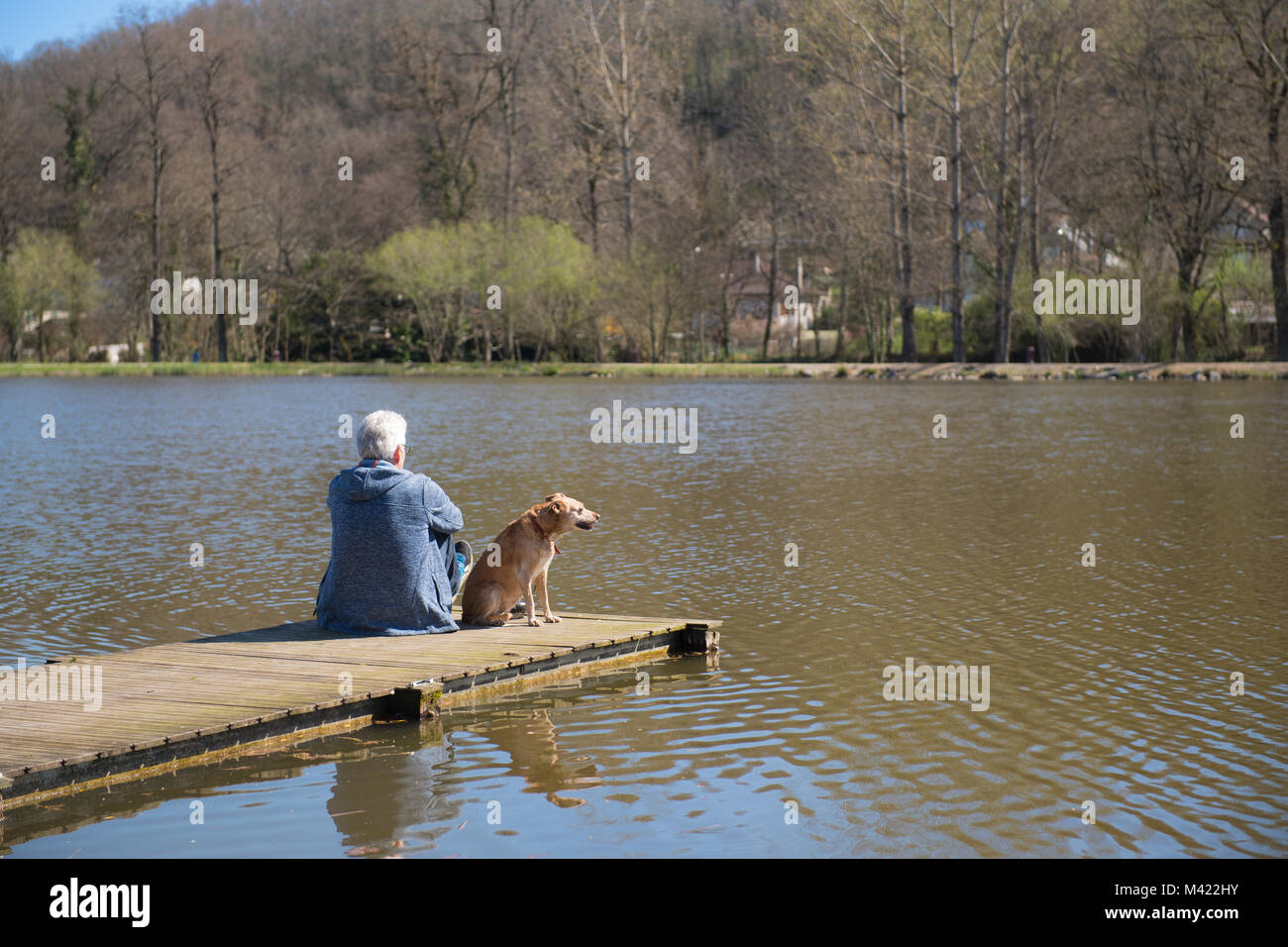 Uomo seduto con il suo cane sul pontile in natura il lago Foto Stock
