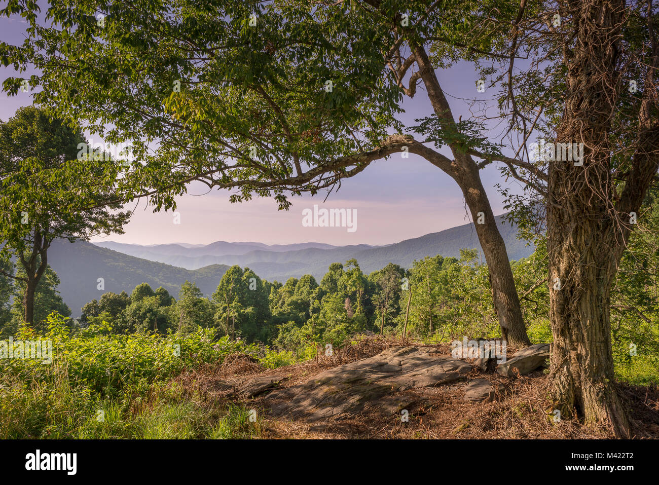 Shenandoah National Park Mountain Overlook, Virginia Foto Stock
