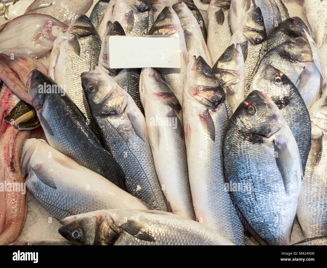 Close up appena pescato il pesce fresco. I pesci di diverse specie è diffusa in file sovrapposte con le teste rivolte verso l'alto. Foto Stock