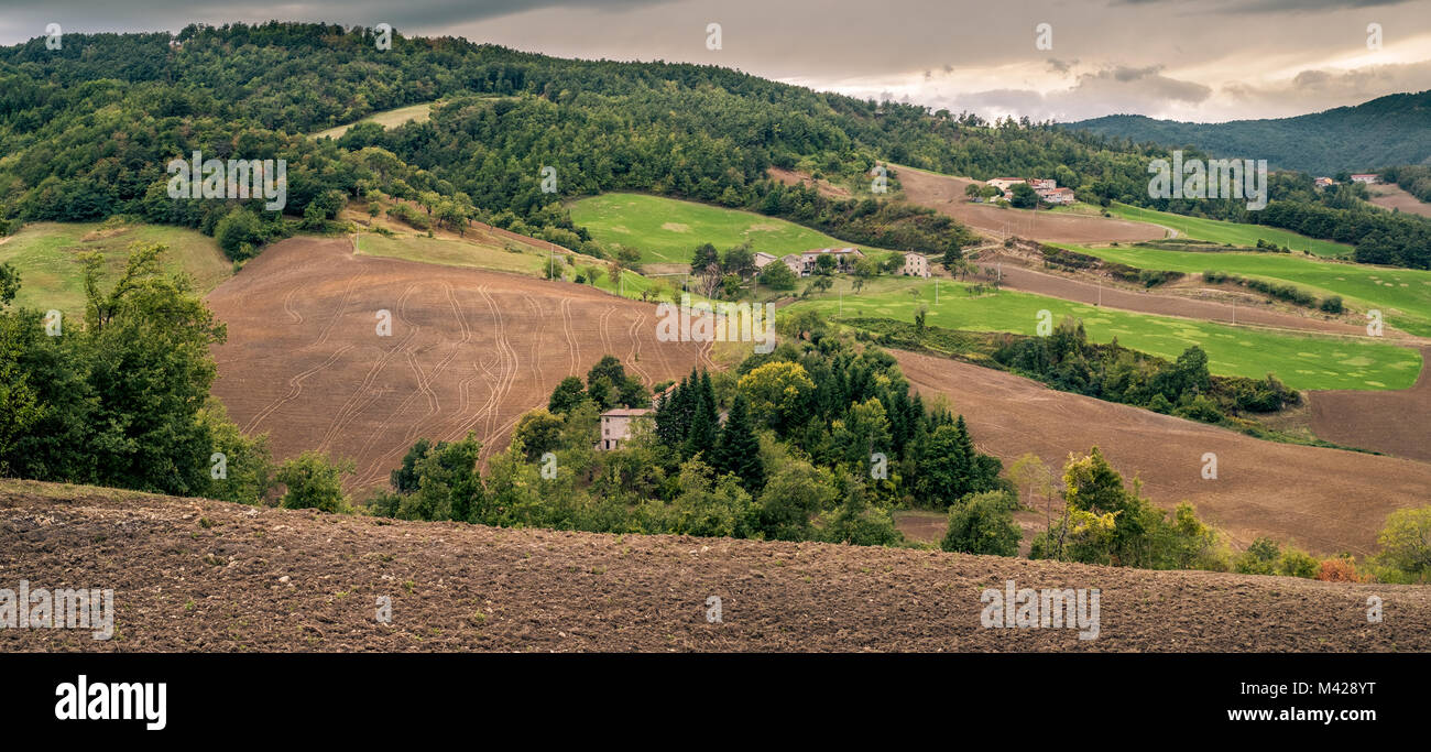Terreni coltivati in Appennino settentrionale nei pressi di Bologna, Emilia Romagna, Italia. Foto Stock