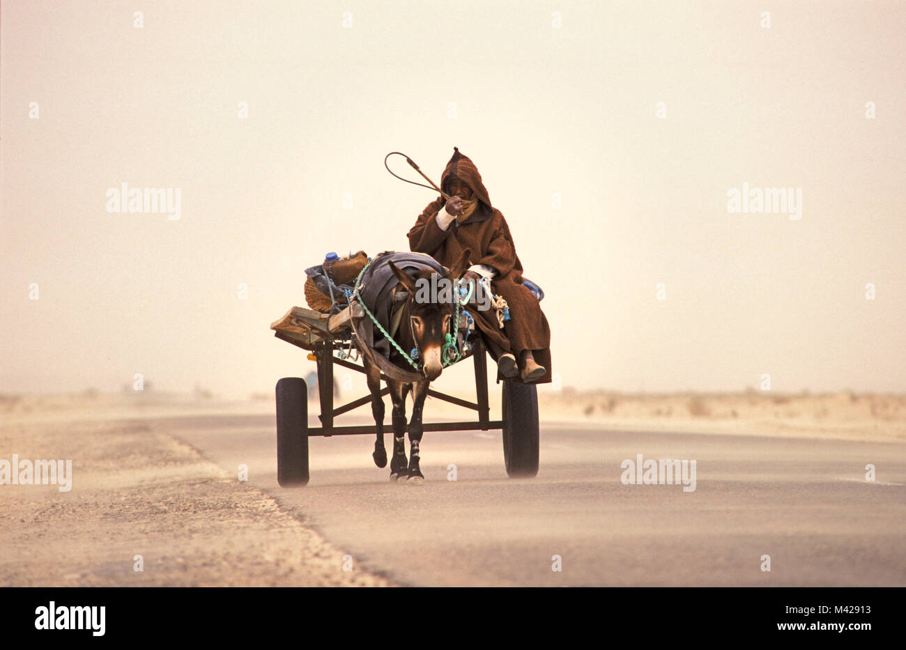La Tunisia. Douz Oasis. Deserto del Sahara. L'uomo delle tribù berbere su donkey cart in tempesta di sabbia. Foto Stock