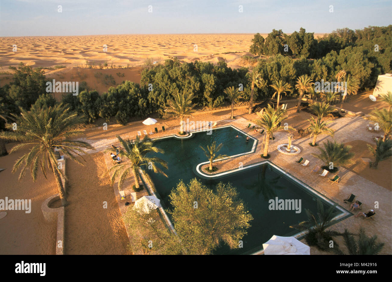 La Tunisia. Ksar Ghilane oasi. Deserto del Sahara. La piscina dell'hotel. Sullo sfondo le dune