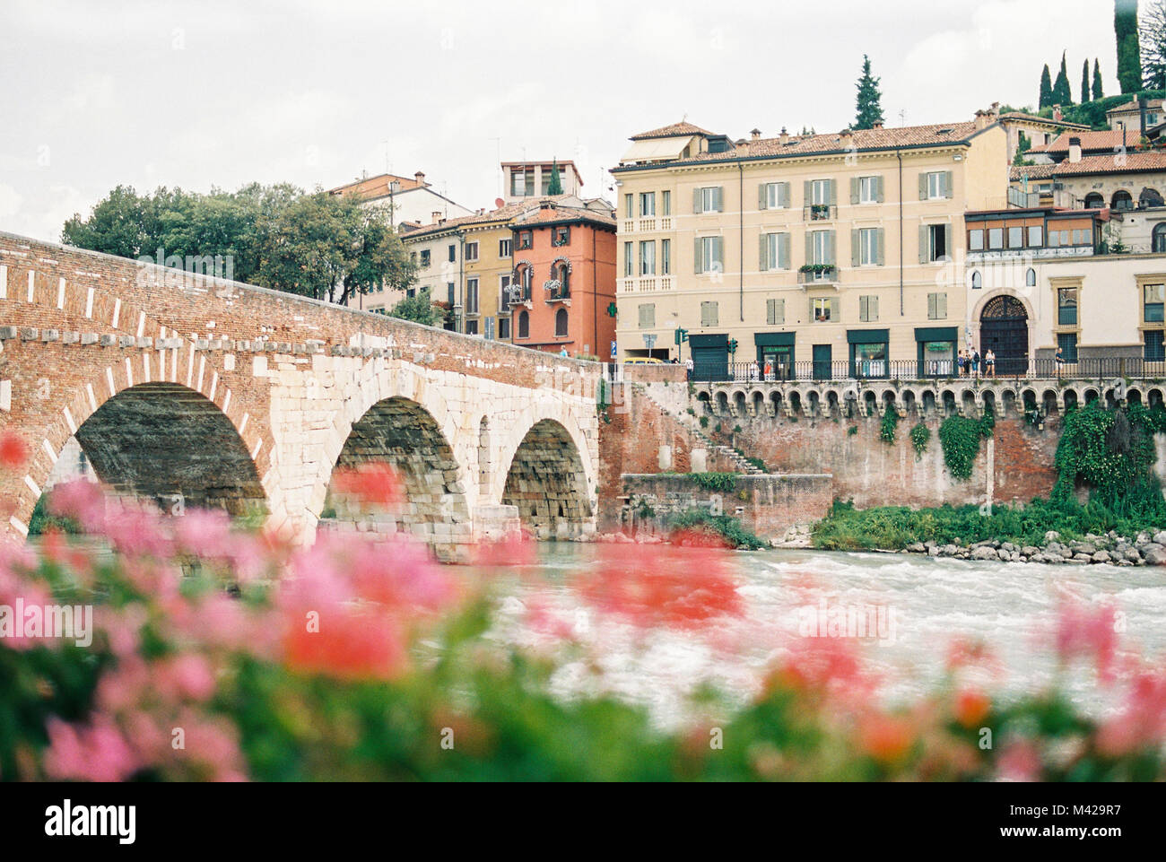 Colorato paesaggio di Verona Italia. Con un ponticello, alcuni splendidi edifici storici e fiori sfocata nella parte anteriore. Foto Stock
