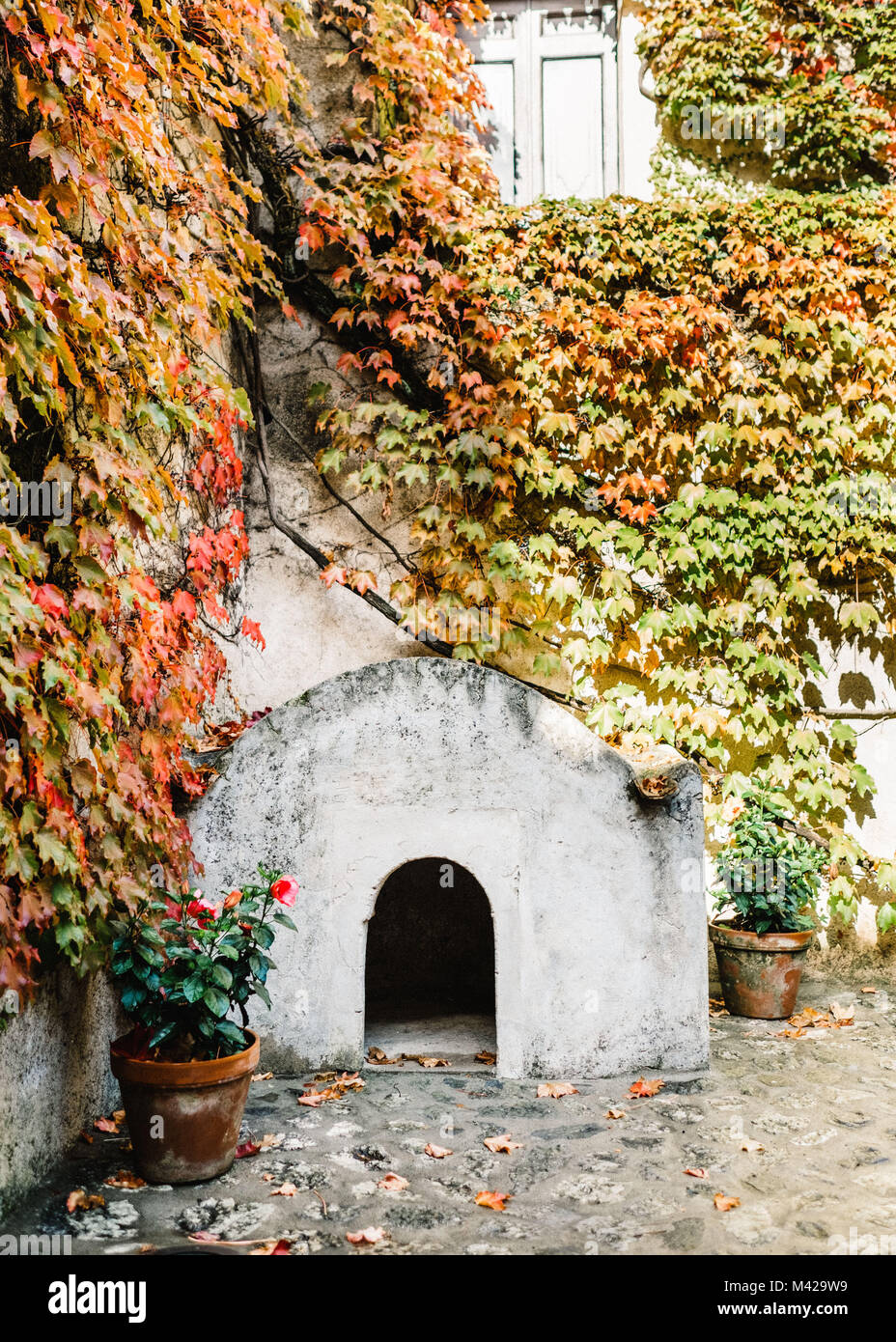 Autunno / Autunno nell' Italia del sud Europa. Arancione, verde en foglie gialle su una facciata in pietra. Foto Stock