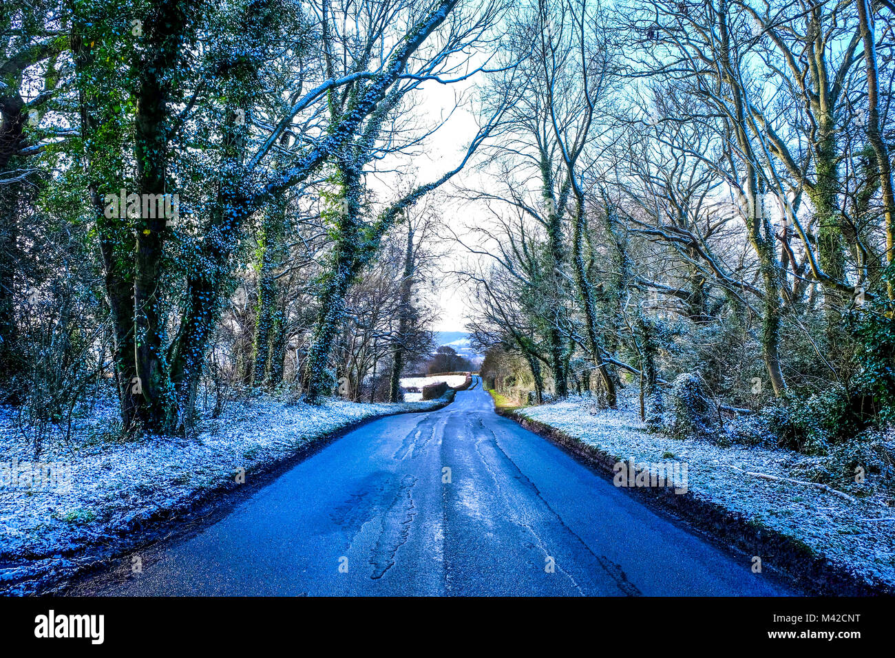 Un viale alberato vicolo del paese con la discesa, aspalt patch sulla strada, di uno strato di neve bianca su ciascun lato che copre il terreno e gli alberi, bassa inverno Foto Stock