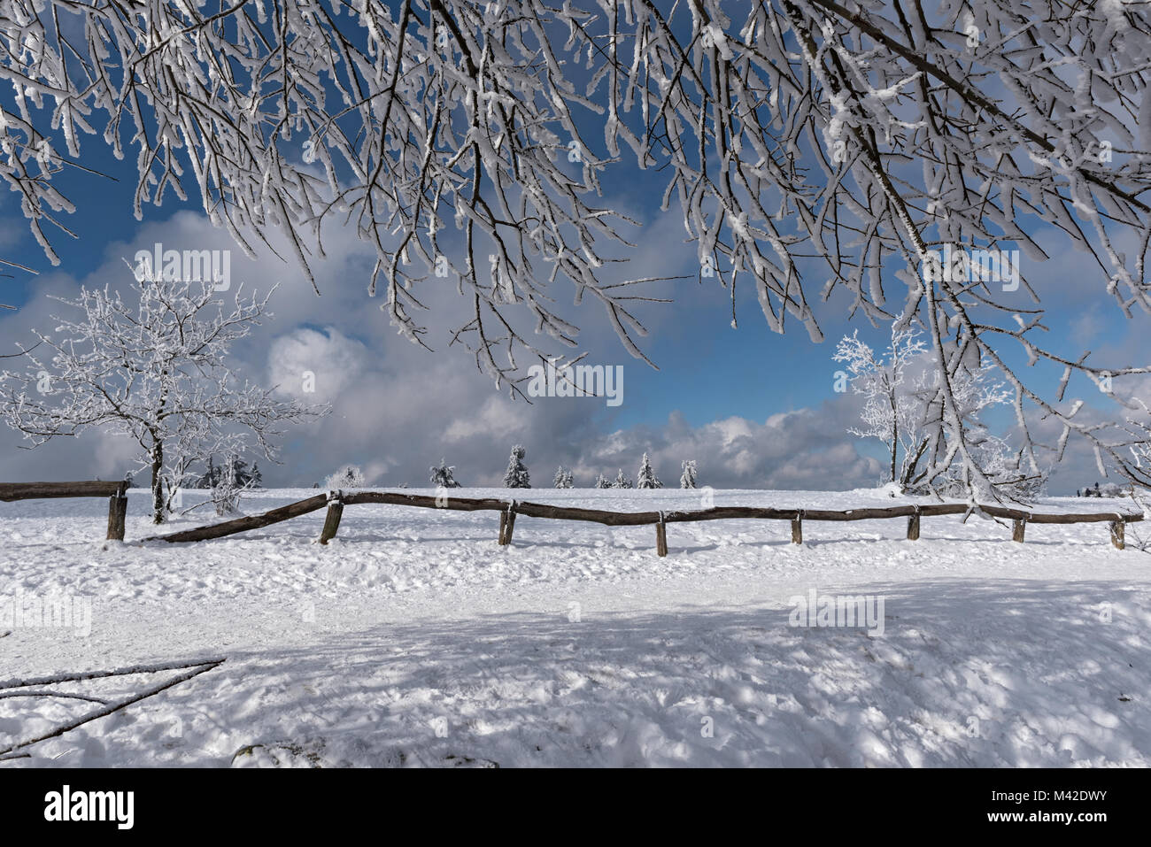 Salva anteprima Download vista dal monte Feldberg plateau oltre la snowy Taunus, Hesse, Germania Foto Stock