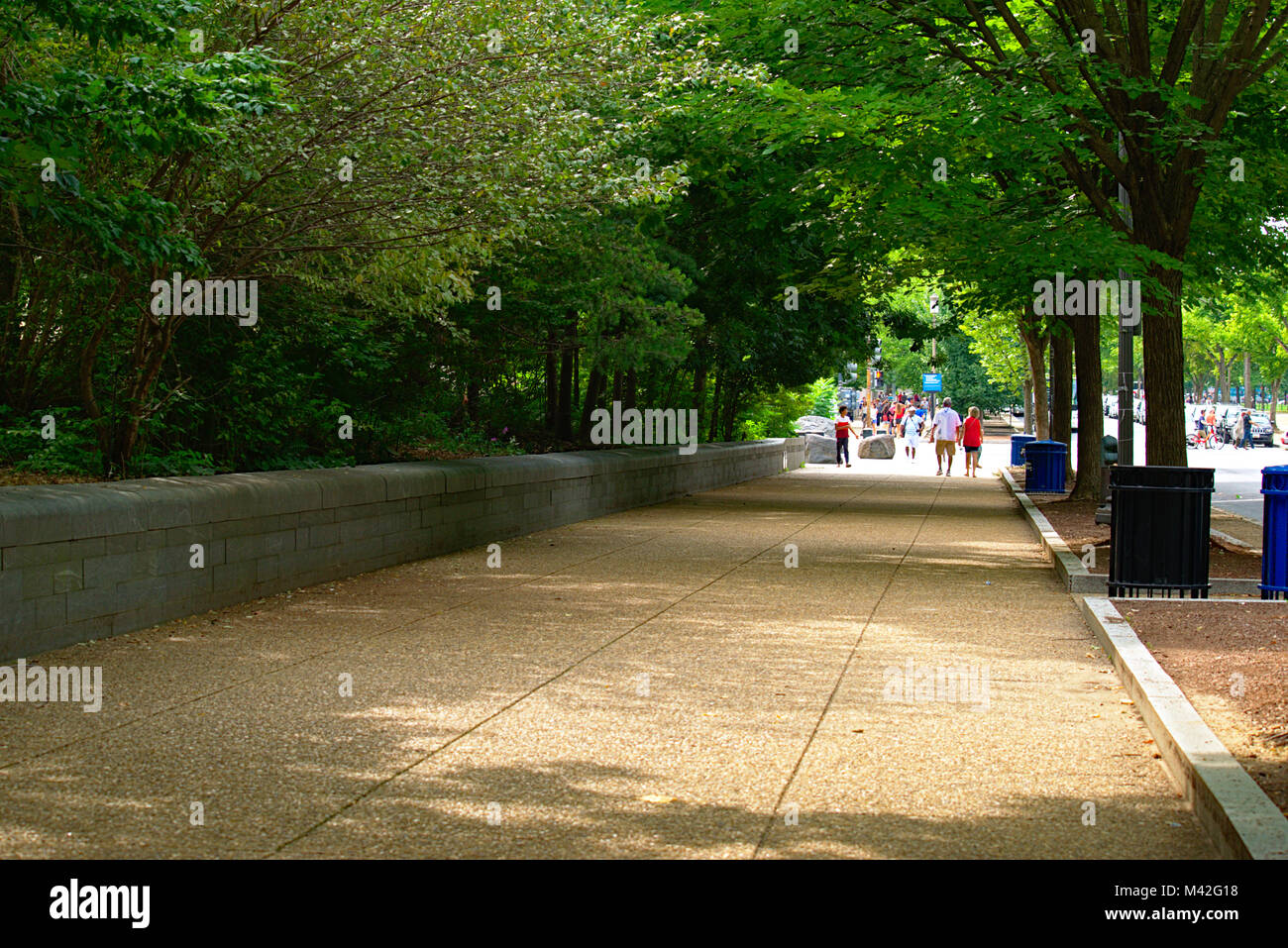 Albero coperto via della città di Washington DC Foto Stock