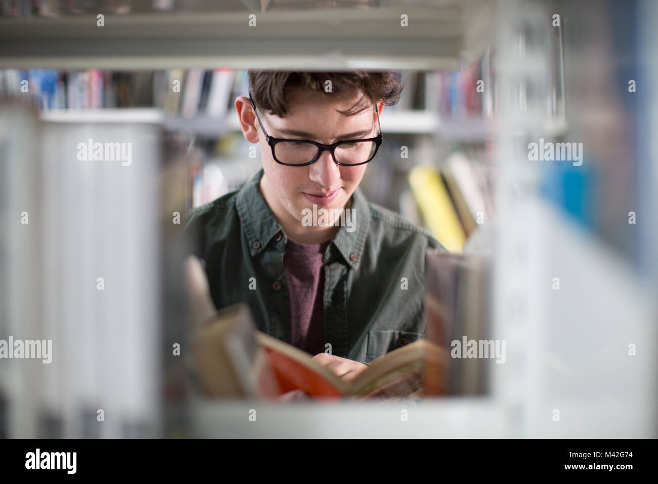 Studente la lettura di un libro in biblioteca Foto Stock