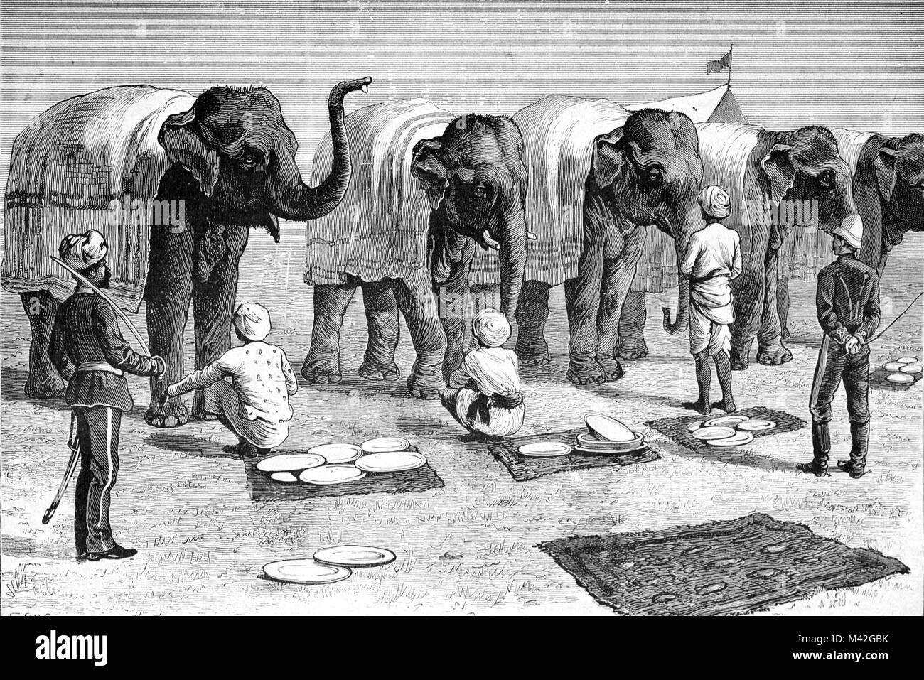 Elephant la scuola di formazione in India (incisione 1879) Foto Stock