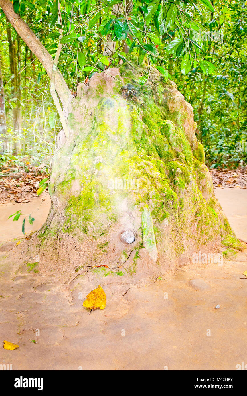 I fori di ventilazione di un undergroud nel Tunnel di Cu Chi, Vietnam. Foto Stock