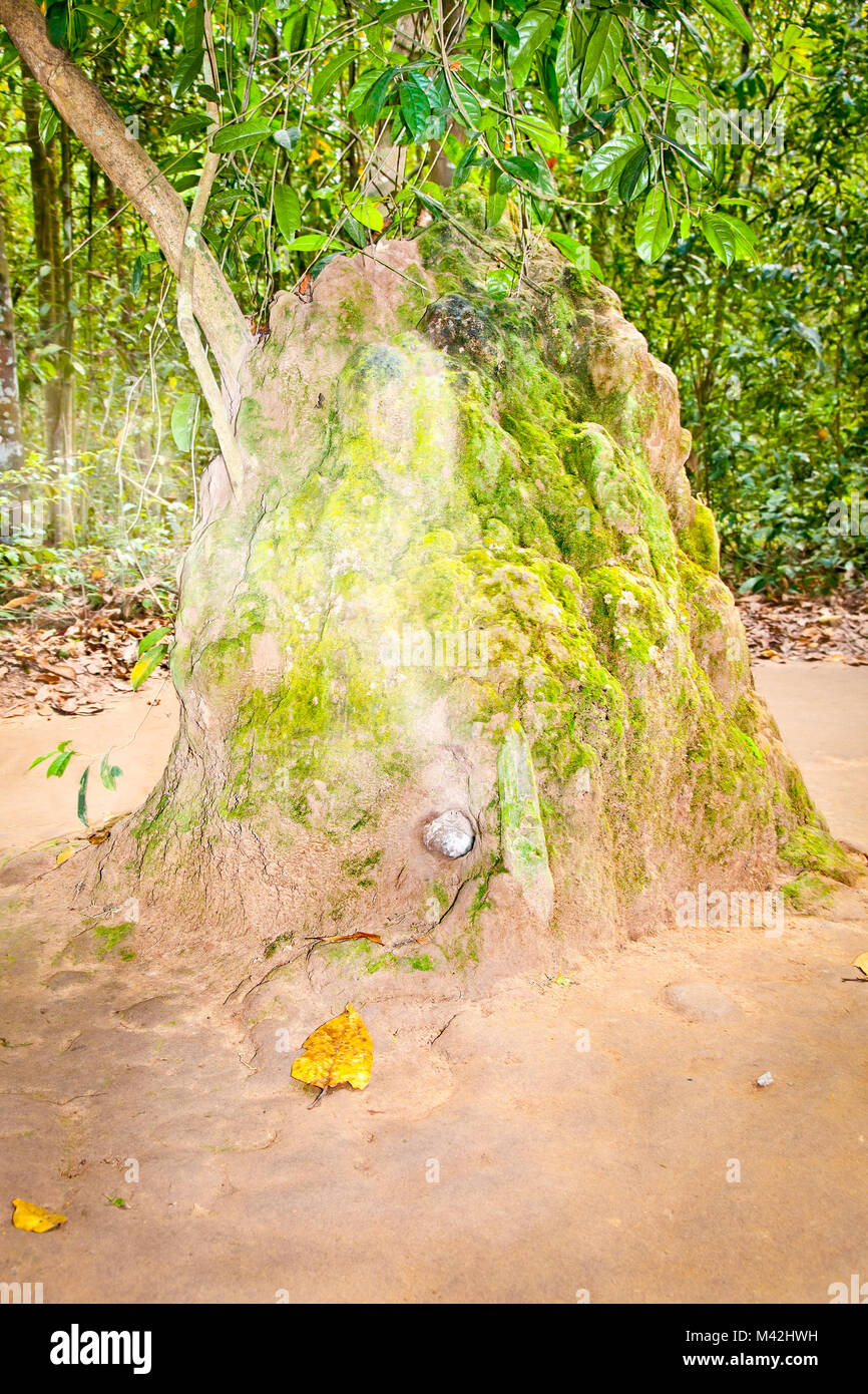 I fori di ventilazione di un undergroud nel Tunnel di Cu Chi, Vietnam. Foto Stock