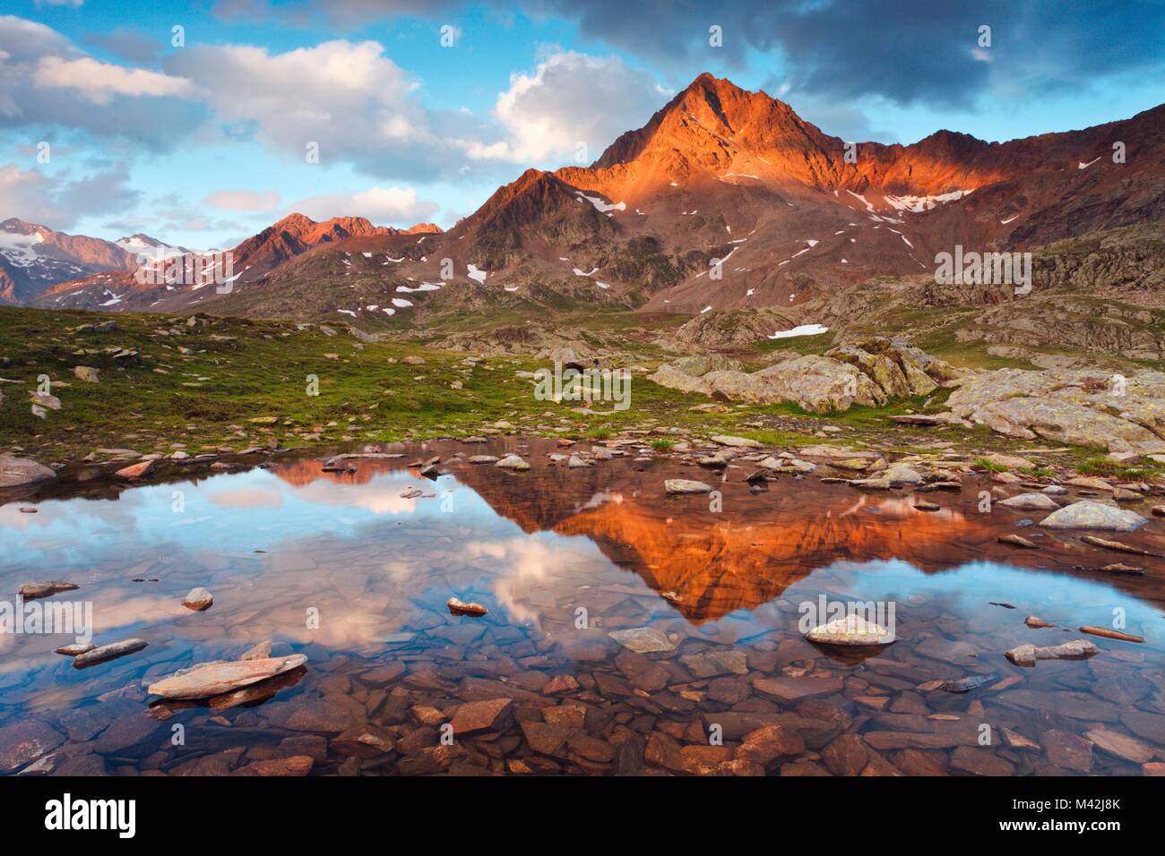 Passo Gavia, provincia di Sondrio, Parco Nazionale dello Stelvio, Lombardia, Italia. Il Corno di Tre Signori si riflette in una piccola pozza. Foto Stock