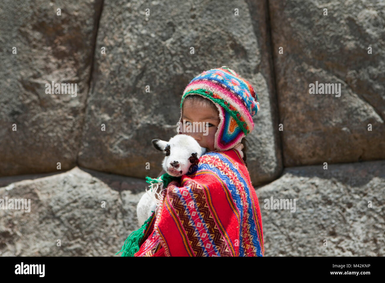 Il Perù, Cusco Cuzco, Saqsayhuaman, Sacsayhuaman, Sacsaywaman. Ragazza indiana con carne di agnello. Unesco - Sito Patrimonio dell'umanità. Foto Stock