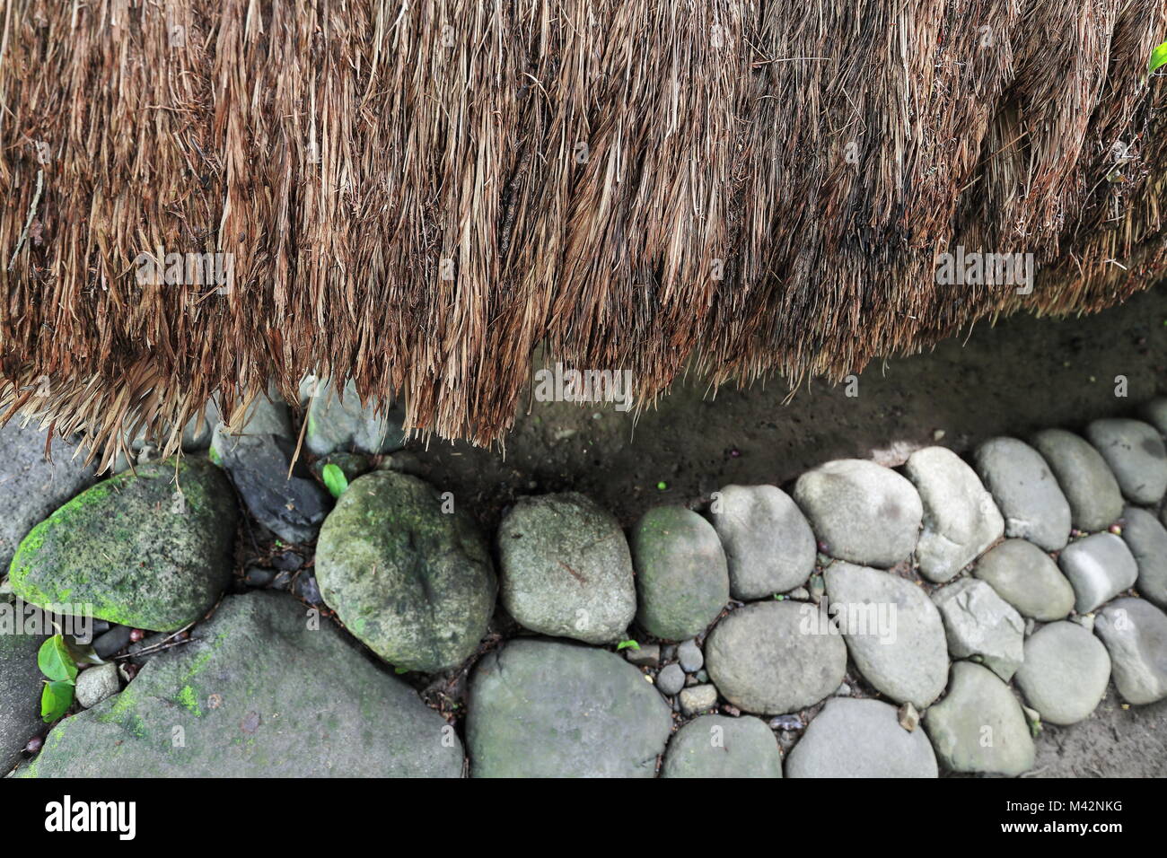 Dettaglio-tetto di paglia di palme Nipa foglie su un ulog-olog sleeping hut per ragazze in un tradizionale ili-villaggio tribale del popolo Bontoc. Mountain pro Foto Stock