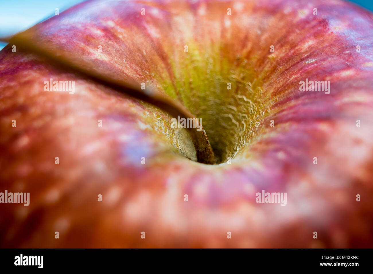 Rosie red apple Foto Stock