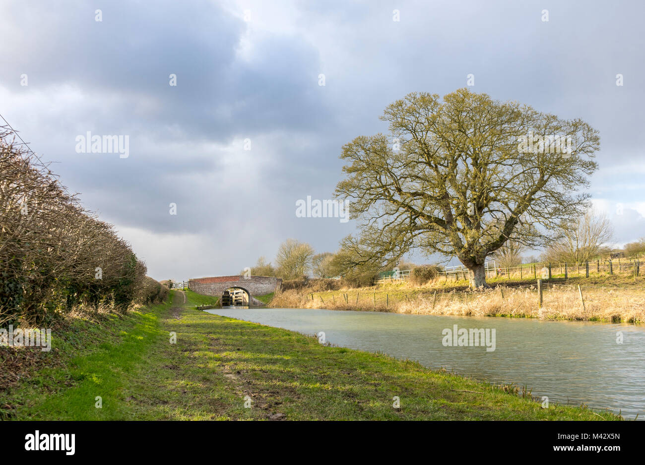 Ponte sul Kennet and Avon Canal nel Wiltshire, Inghilterra, Regno Unito Foto Stock