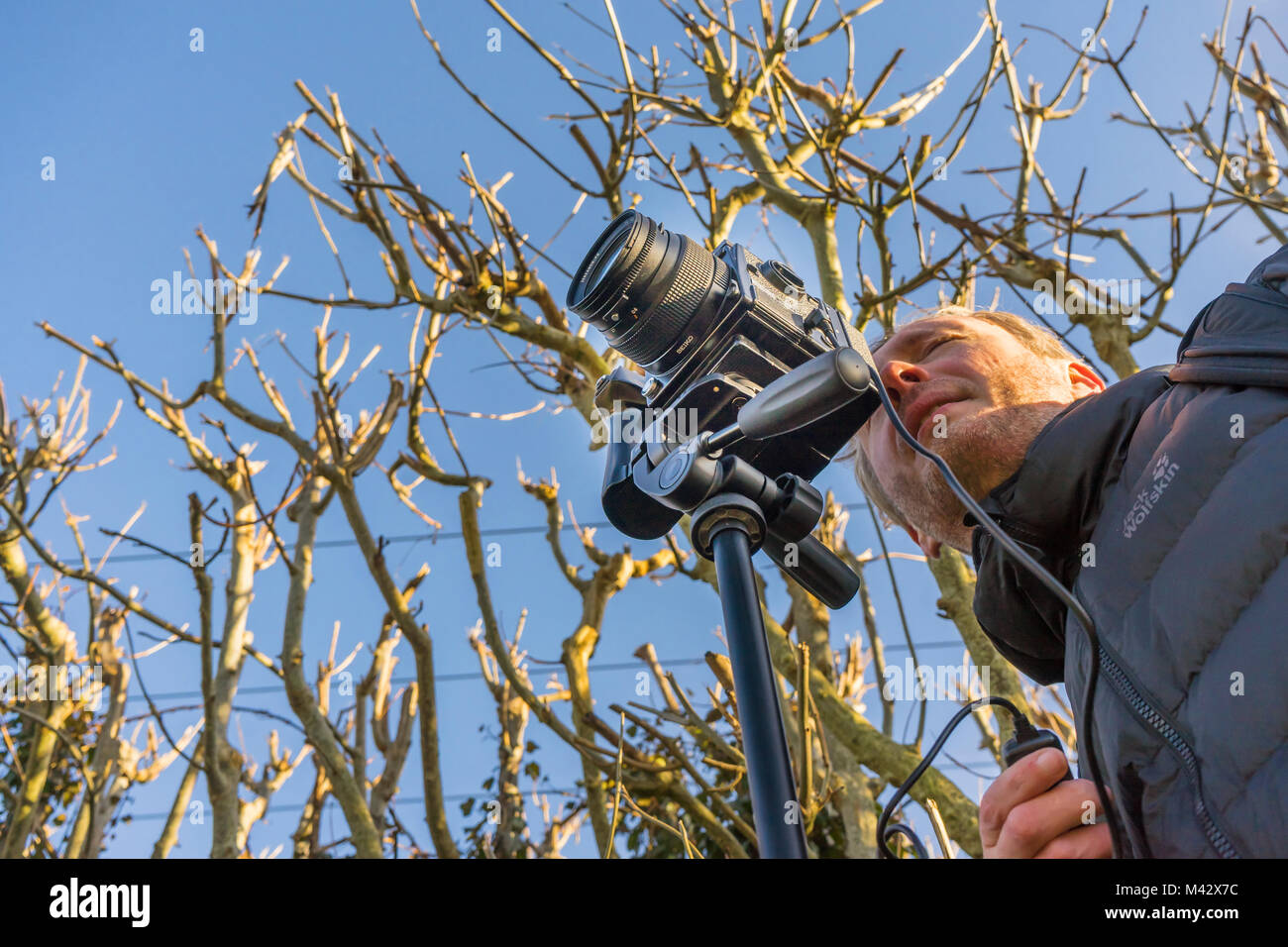 Fotografo maschio di scattare una foto con una fotocamera di medio formato su un treppiede, a basso angolo di visione con cielo blu sullo sfondo Foto Stock