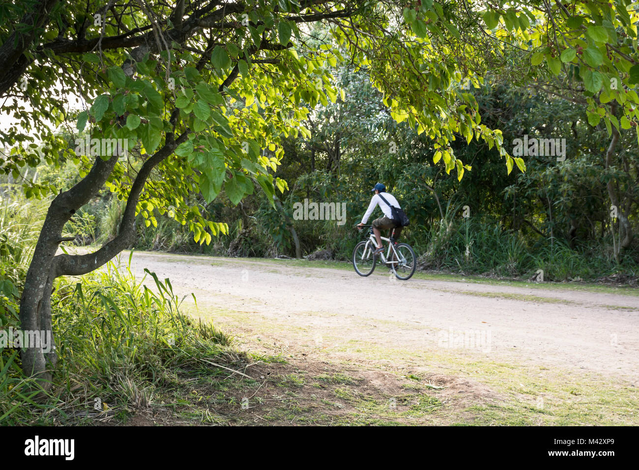 Un uomo in sella a una moto di Costanera Sur Riserva Ecologica, Buenos Aires, Argentina Foto Stock