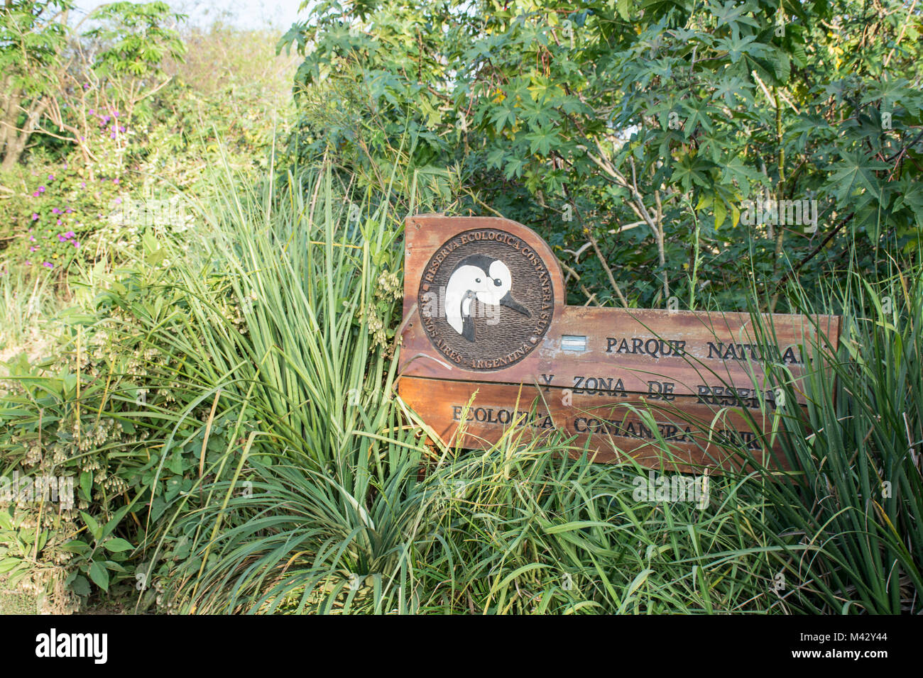 Buenos Aires Costanera Sur Riserva Ecologica, Argentina Foto Stock