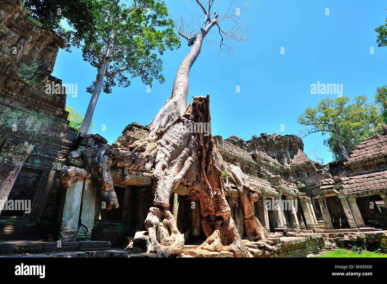 Cambogia Siem Reap, Rovine dell'e Bayon Angkor Thom tempio Foto Stock