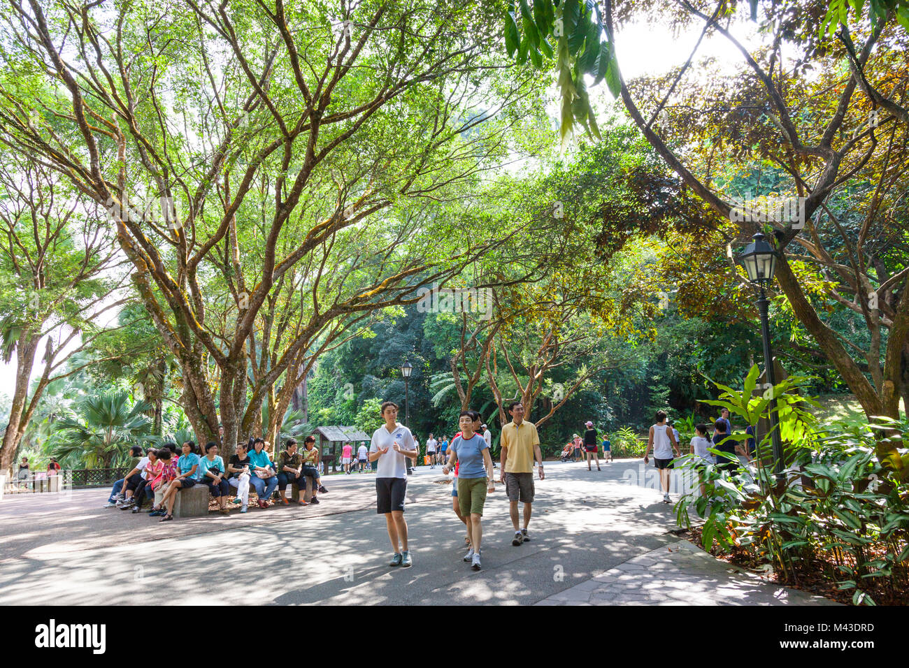 Visitatori rilassante nella zona centrale di Singapore Botanic Gardens. Foto Stock