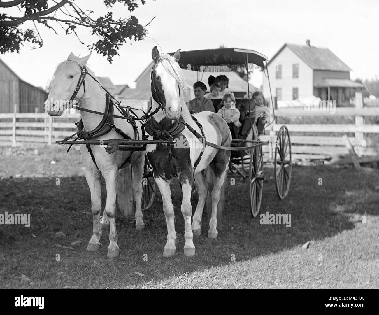 Tutti i bambini vengono caricati e pronti per andare a cavallo e buggy, ca. 1900. Foto Stock