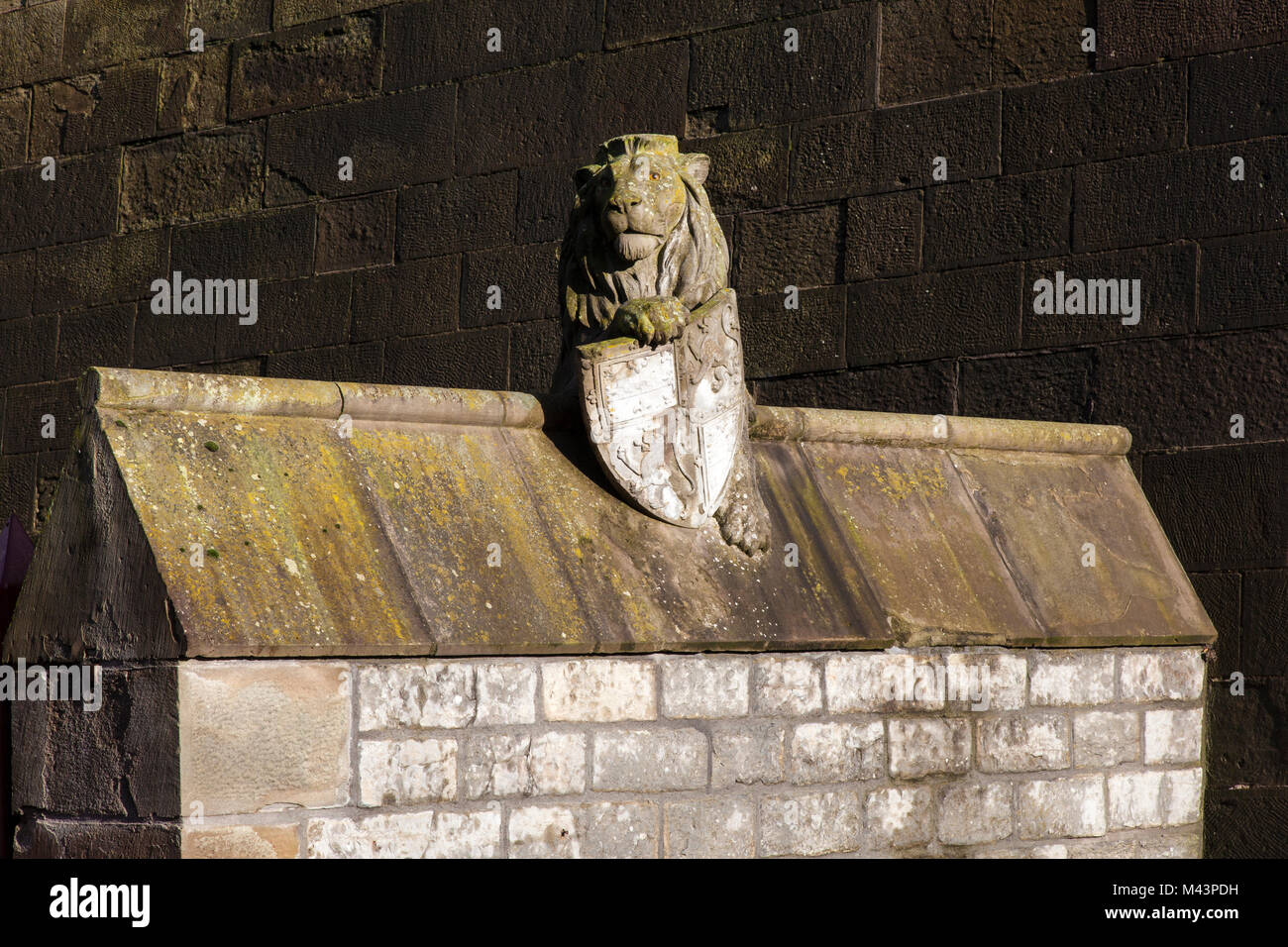 Lion la scultura al castello di Cardiff Foto Stock