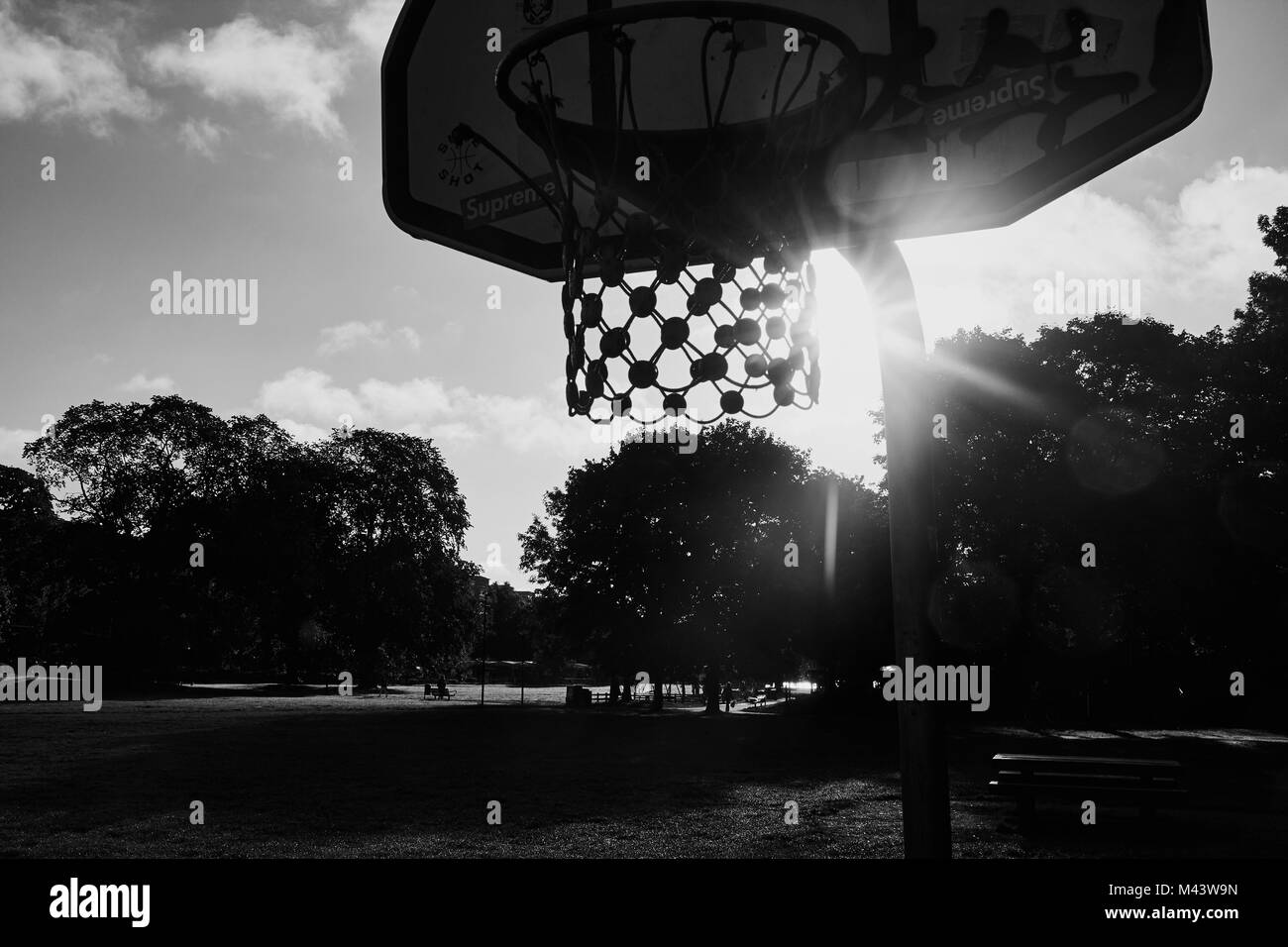 Il basket net, Ralambshovsparken, Kungsholmen, Stoccolma, Svezia, in Scandinavia. Il parco è stato inaugurato nel 1936 e progettato da Erik Glemme Foto Stock