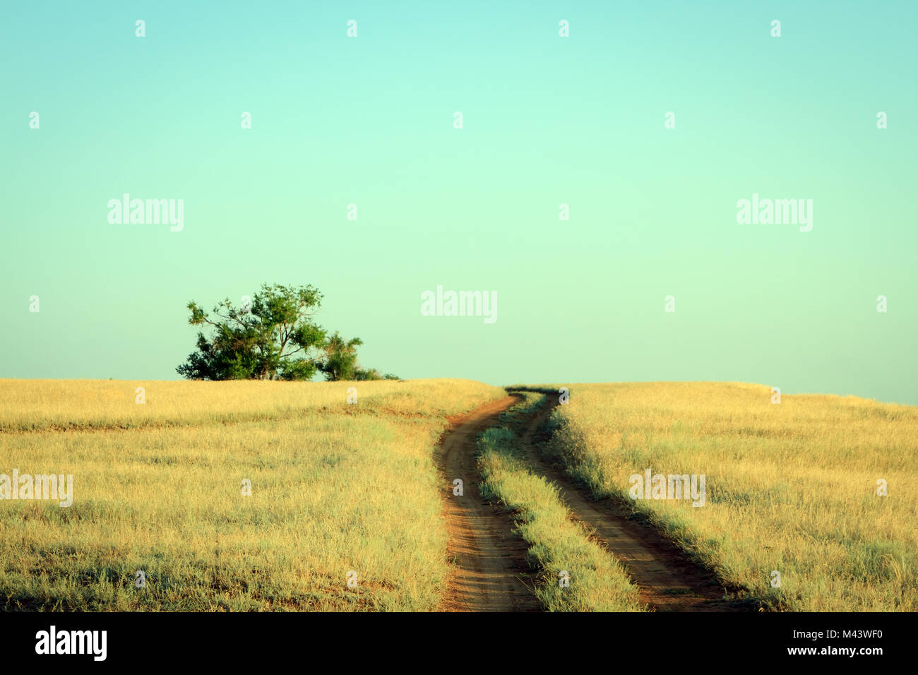 Strada rurale che conduce a una solitaria quercia in estate Foto Stock