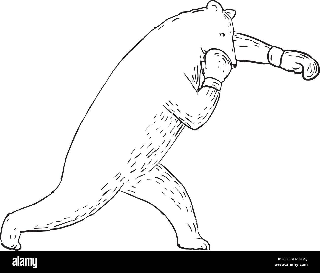 Schizzo di disegno illustrazione dello stile di Kodiak Bear, grizzly o orso bruno gettando una sinistra punzone diritta o croce visto dal lato. Illustrazione Vettoriale