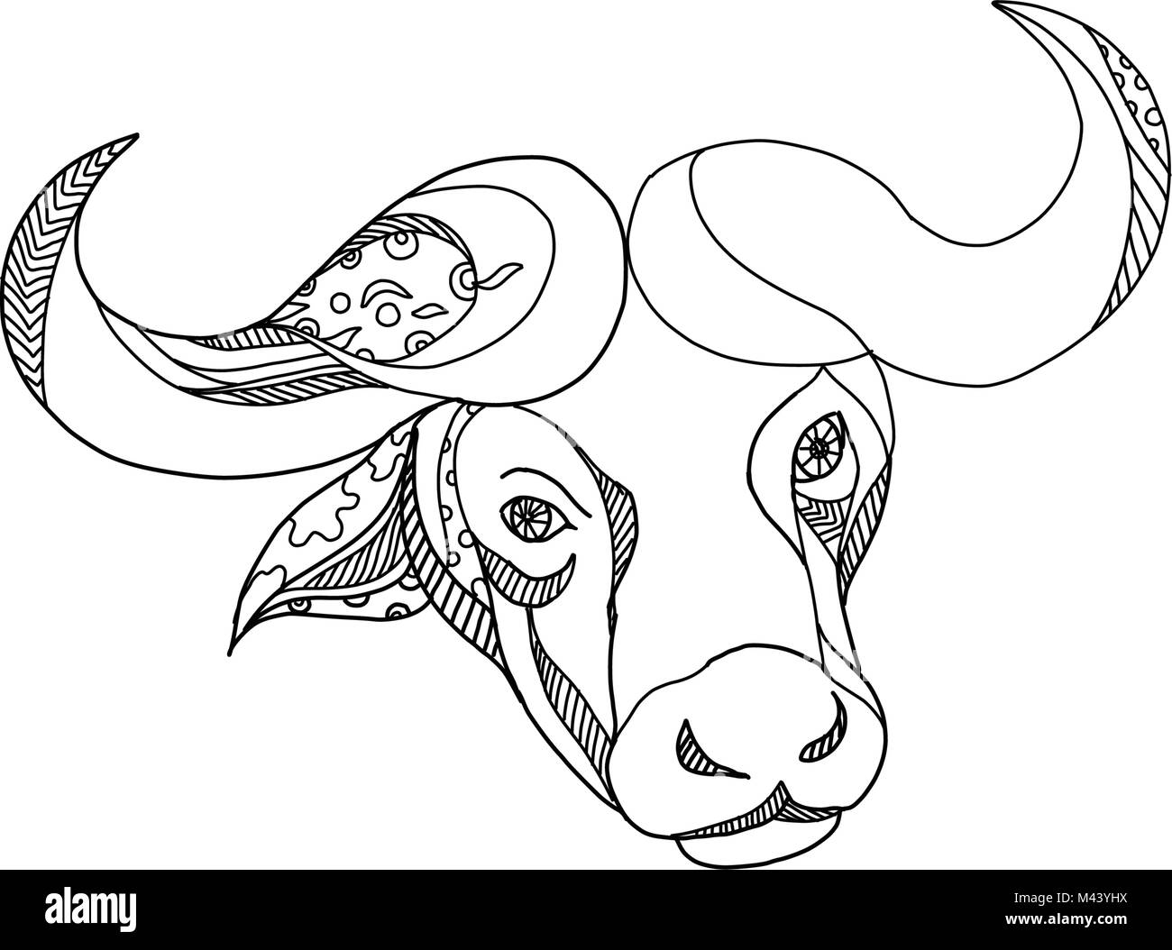 Doodle arte illustrazione del bufalo africano,bufali o Syncerus caffer, un grande bovini africani la carica se visto dalla parte anteriore fatto in bianco e nero. Illustrazione Vettoriale