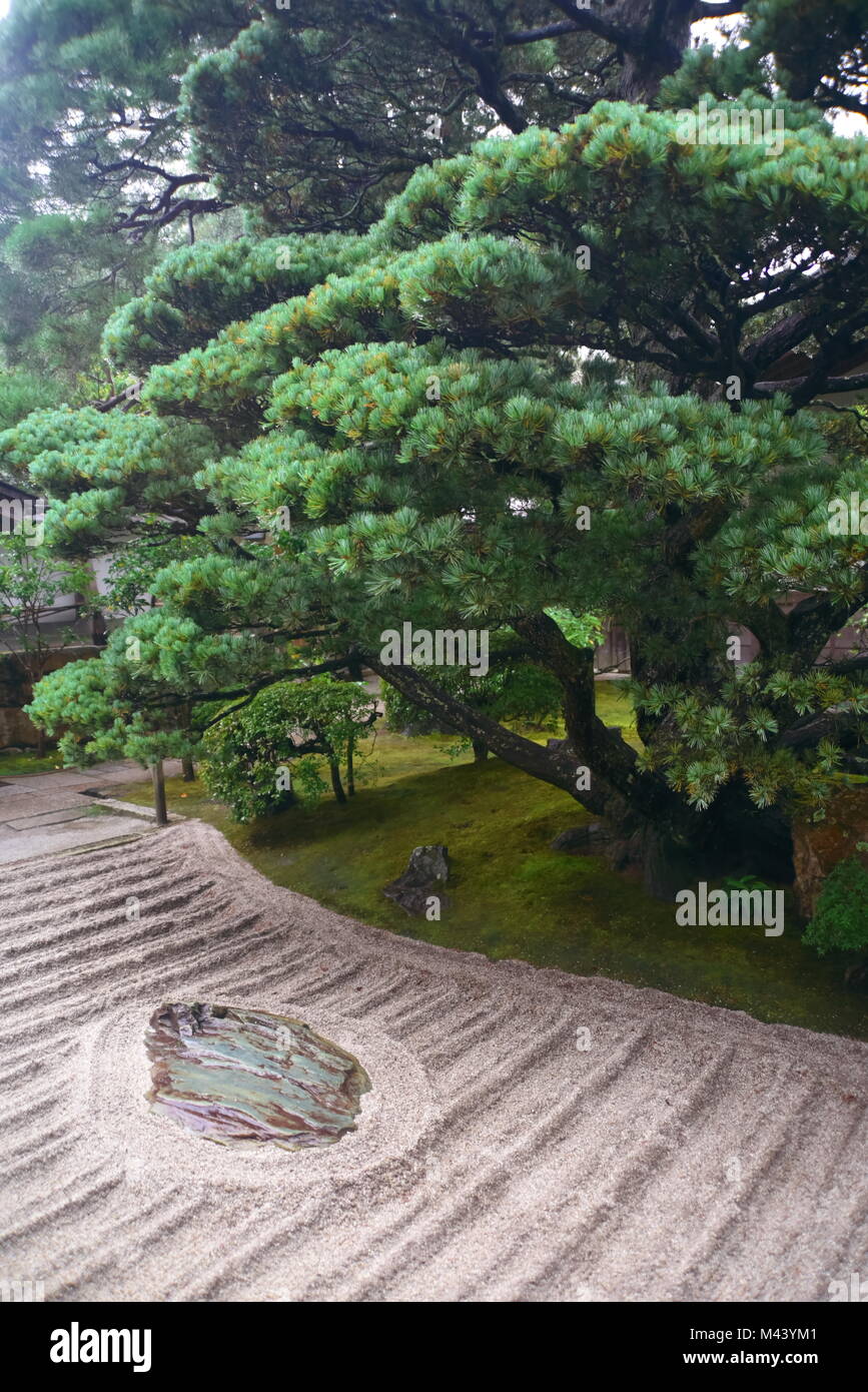 Incredibile e spirituale, Kyoto a piedi l'antica millenaria Kumano Kodo'Nakahechi route' noto come il sentiero imperiale Kii Peninsula, Giappone meridionale Foto Stock
