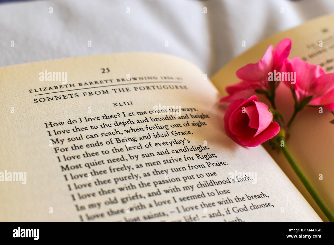 Dichiarazione Di Amore Foto Stock Alamy