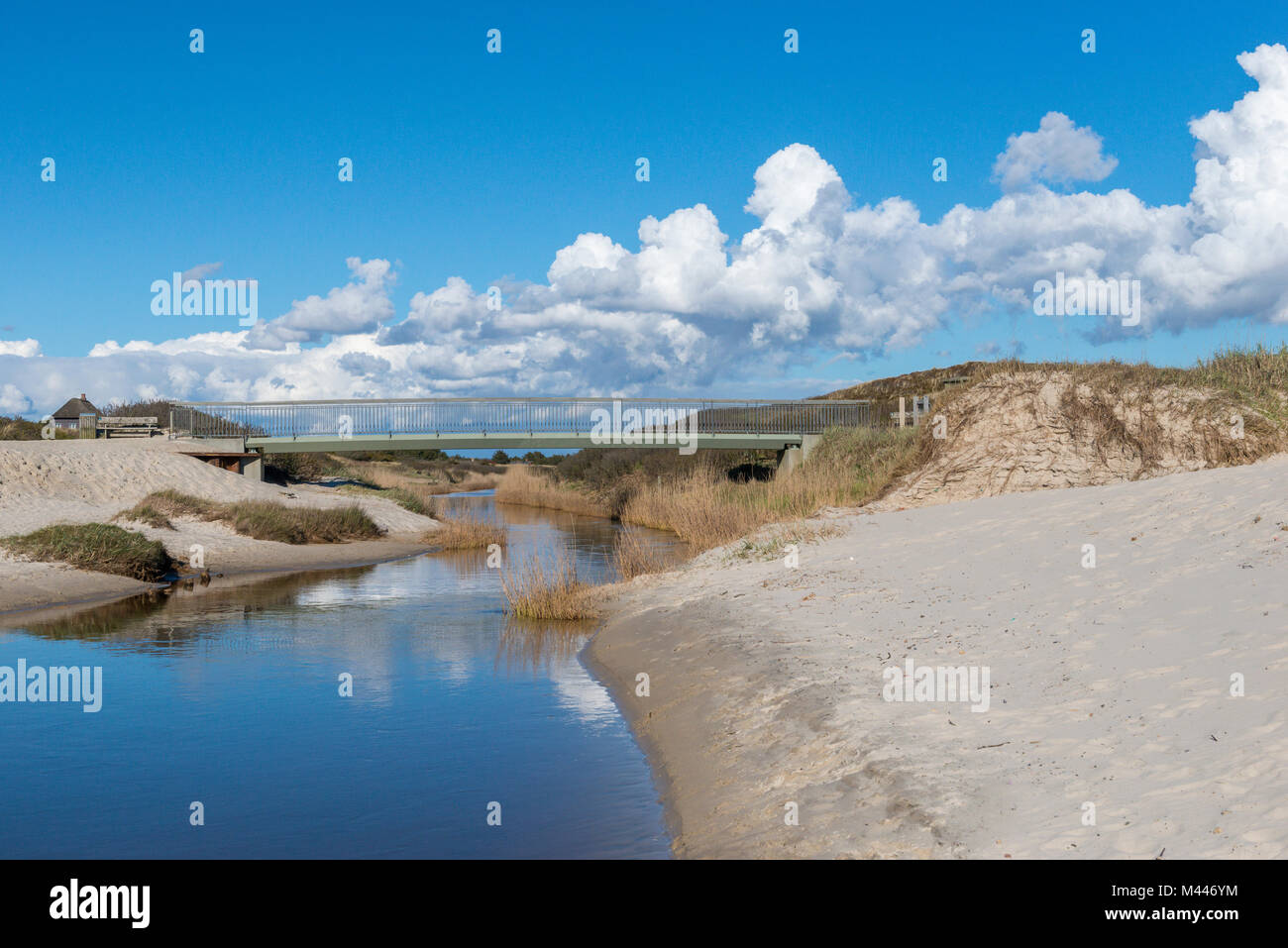 Ponte sul fiume bocca per il Mare del Nord,fiume Henne Mølle Å,Henne Mølle,Regione Syddanmark,Danimarca Foto Stock