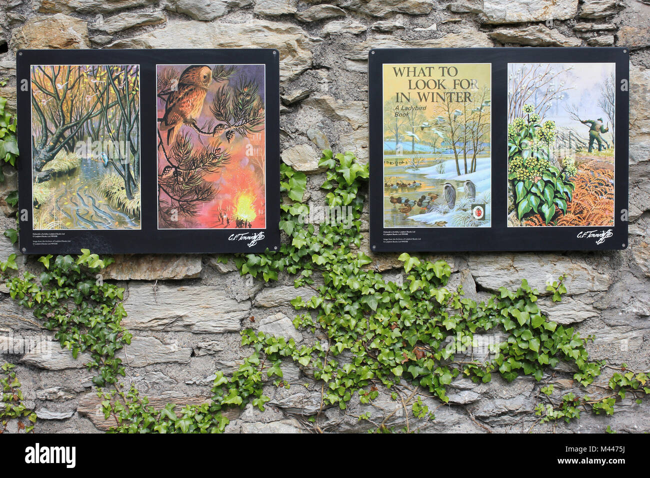 Charles Tunnicliffe le placche che mostra illustrazioni dal Ladybird serie del libro Foto Stock