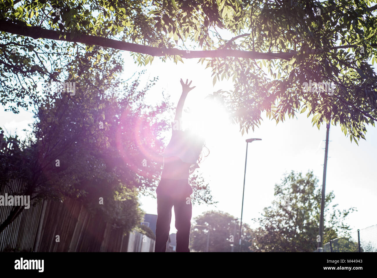 Ragazzo del salto fino a raggiungere il ramo di albero in presenza di luce solare Foto Stock