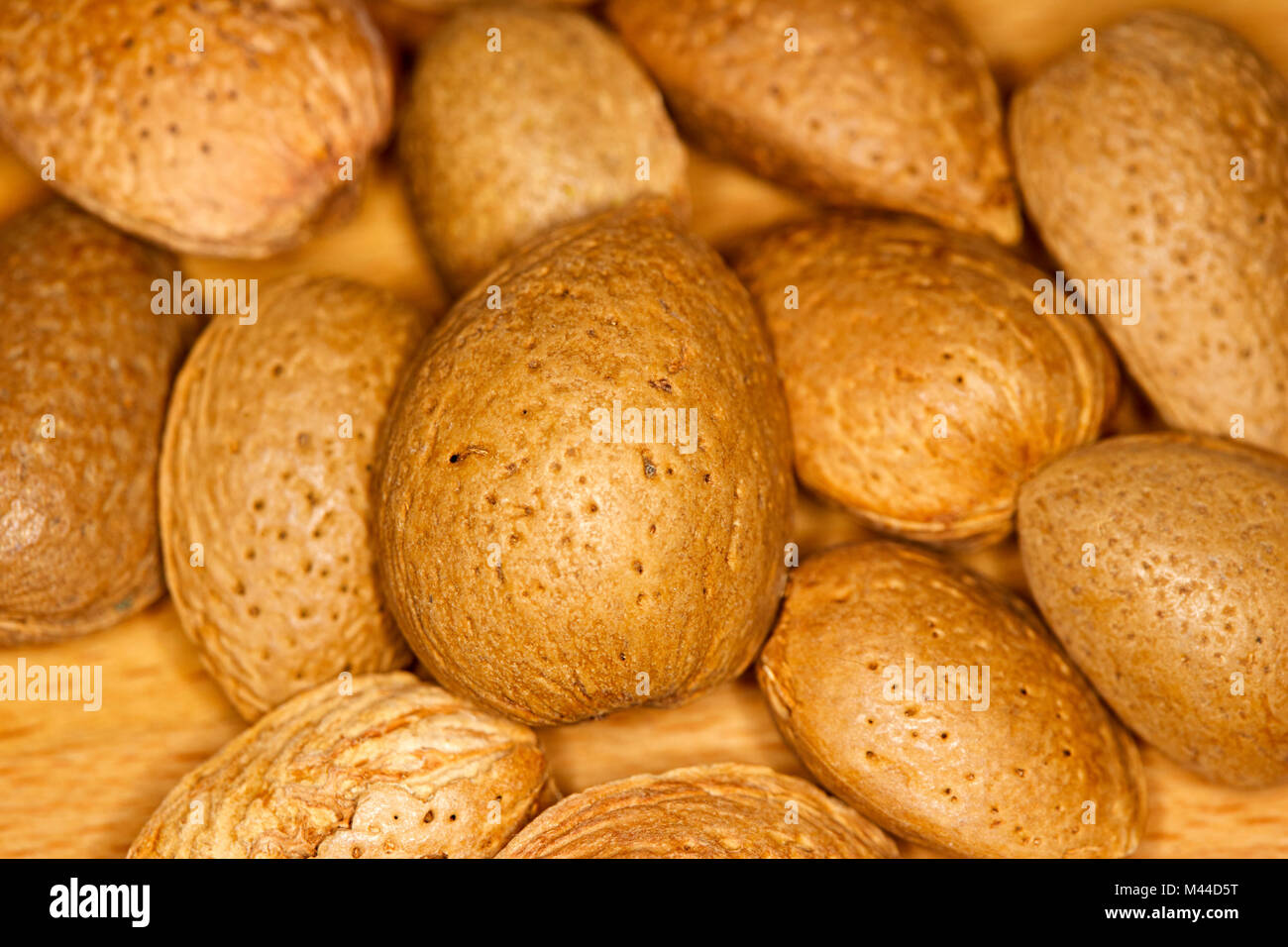 I dadi di mandorle in gusci Foto Stock