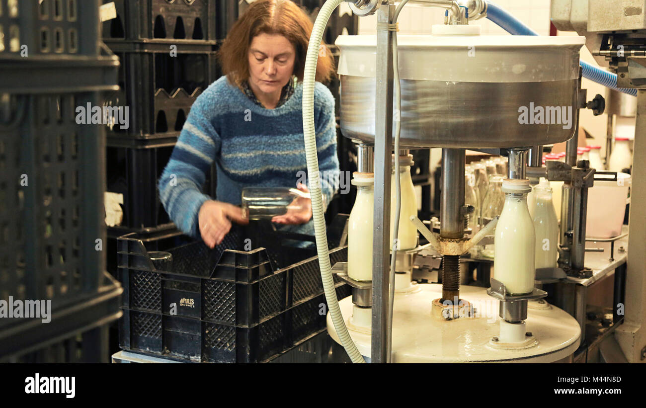 Rolde, Paesi Bassi - 28 Gennaio 2014: è una donna che lavorano in un piccolo caseificio ecologico farm, riempiendo il latte macchina imbottigliatrice. Foto Stock