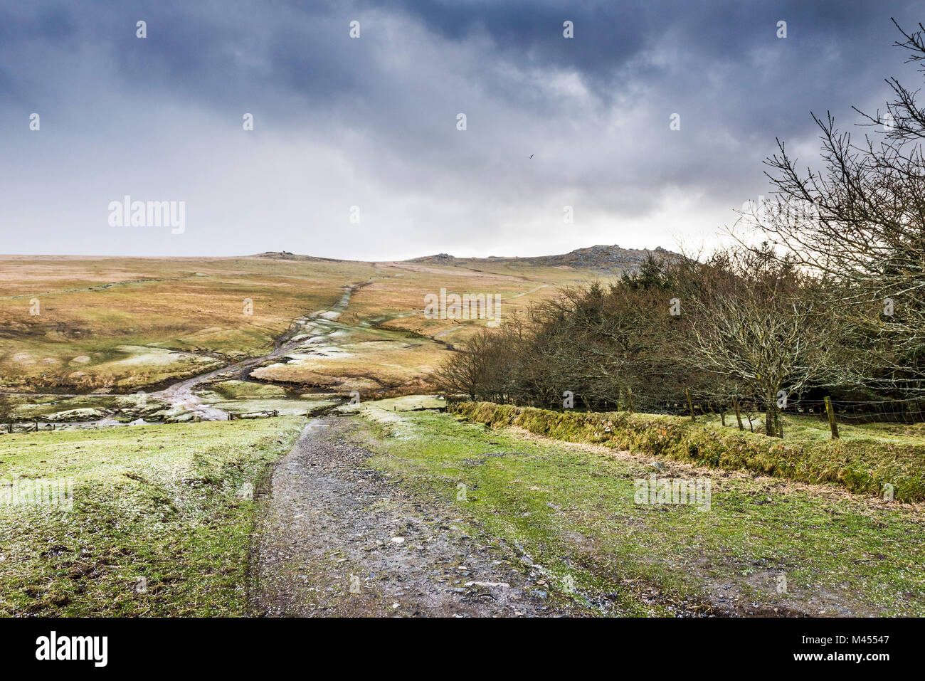 Meteo invernale al ruvido Tor su Bodmin Moor in Cornovaglia. Foto Stock