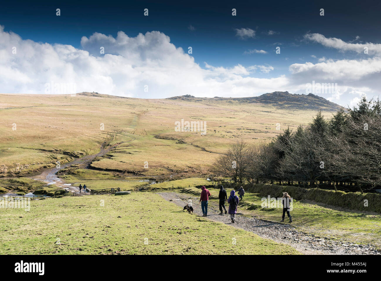 Walkers a Ruvida Tor su Bodmin Moor in Cornovaglia. Foto Stock