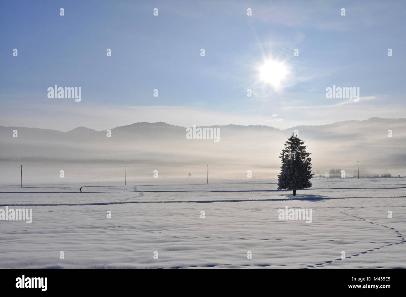 Inverno a Pian Cansiglio, Farra d'Alpago, Belluno, Veneto, Italia Foto Stock