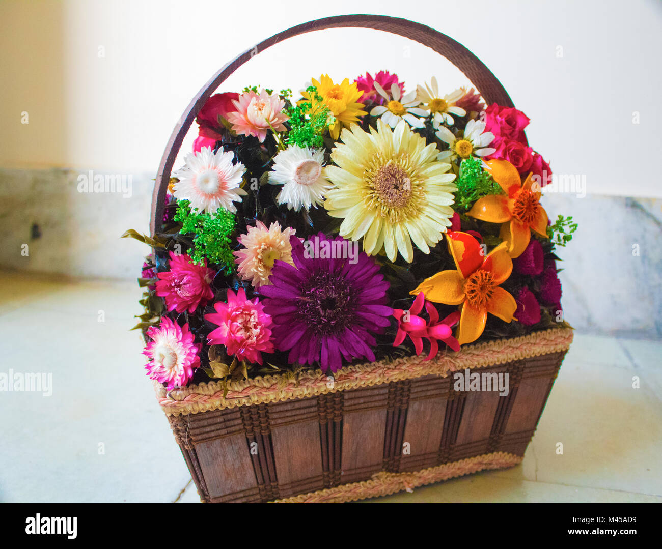 È Fiore che è così colorata e bella Foto Stock