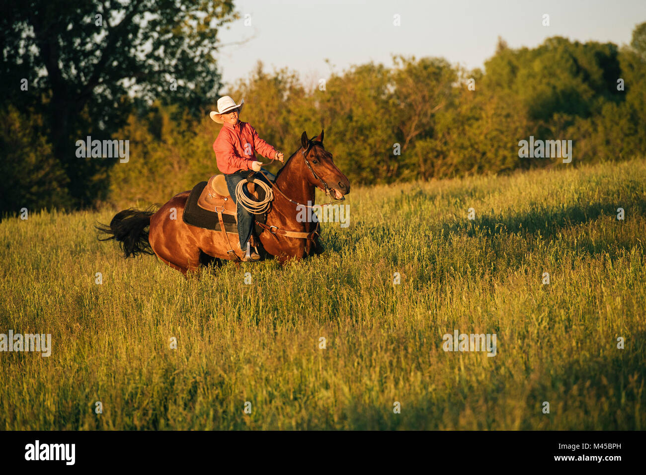 Ragazzo di equitazione nel campo Foto Stock