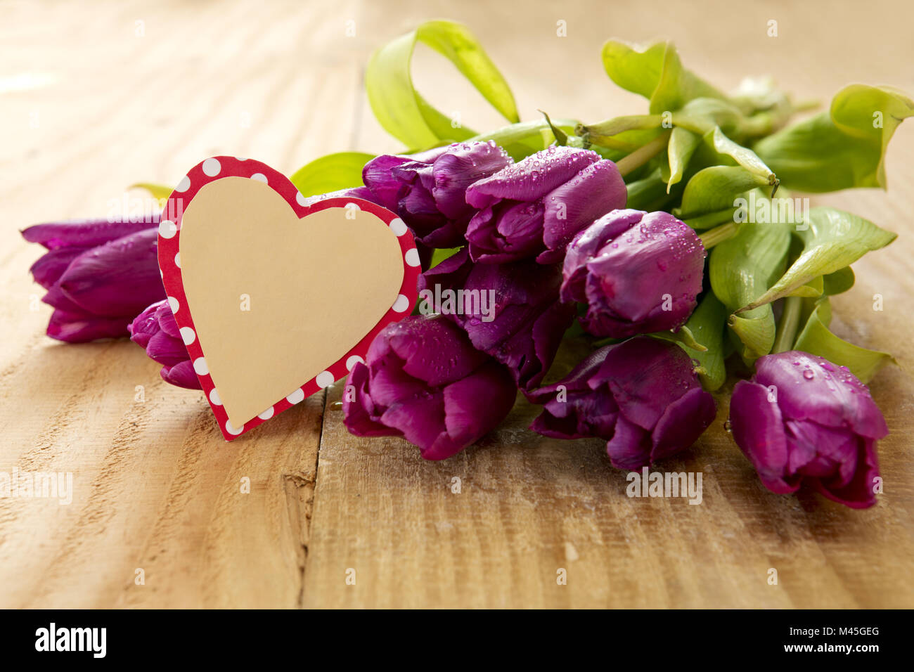 Tulipani viola con cuore scheda su uno sfondo di legno. Foto Stock