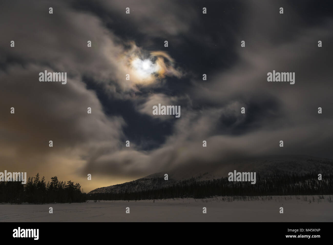 Paesaggio invernale al chiaro di luna, Gellivare, Lapponia, Svezia Foto Stock