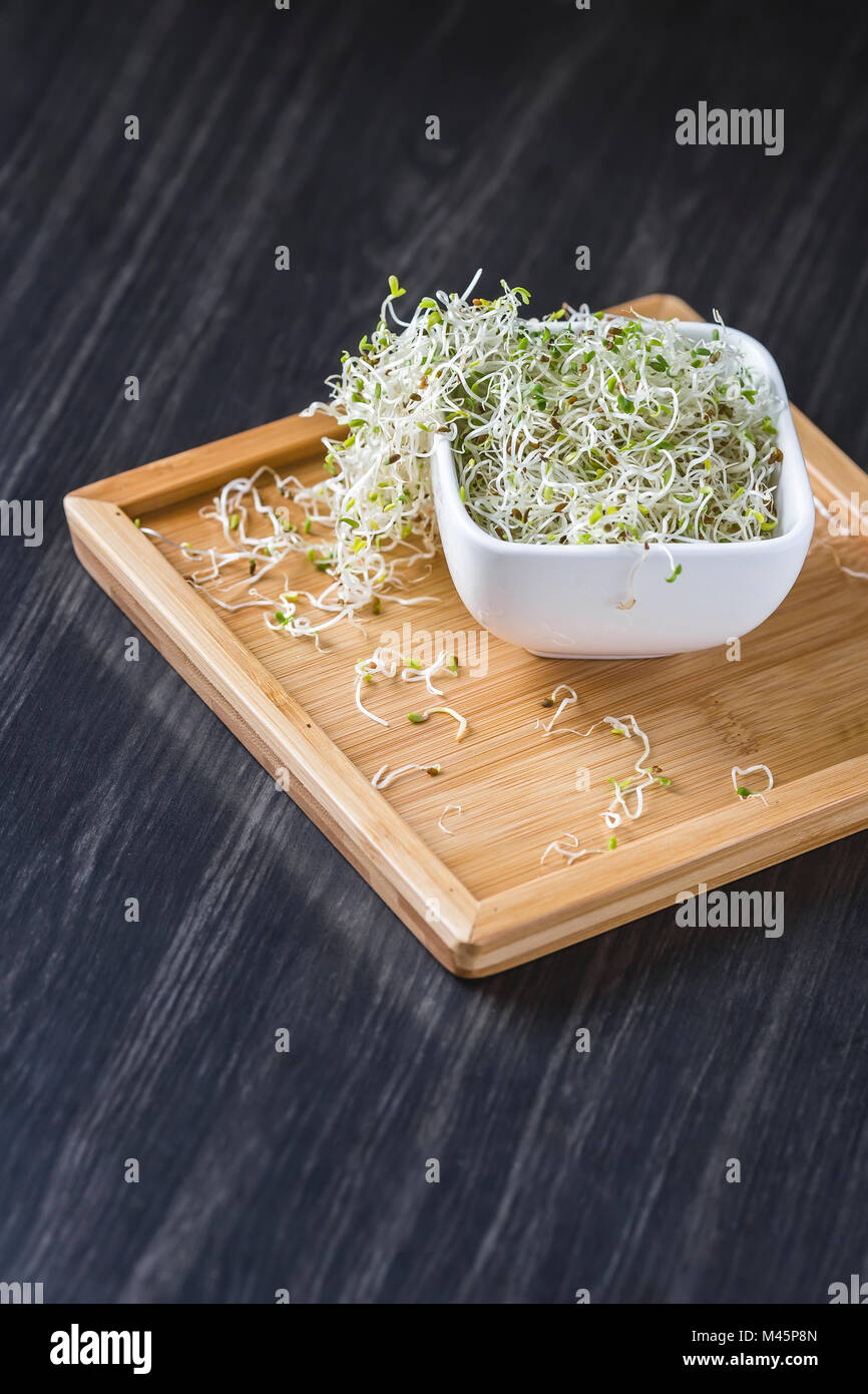 I germogli di erba medica nella ciotola bianco su un vassoio in legno Foto Stock