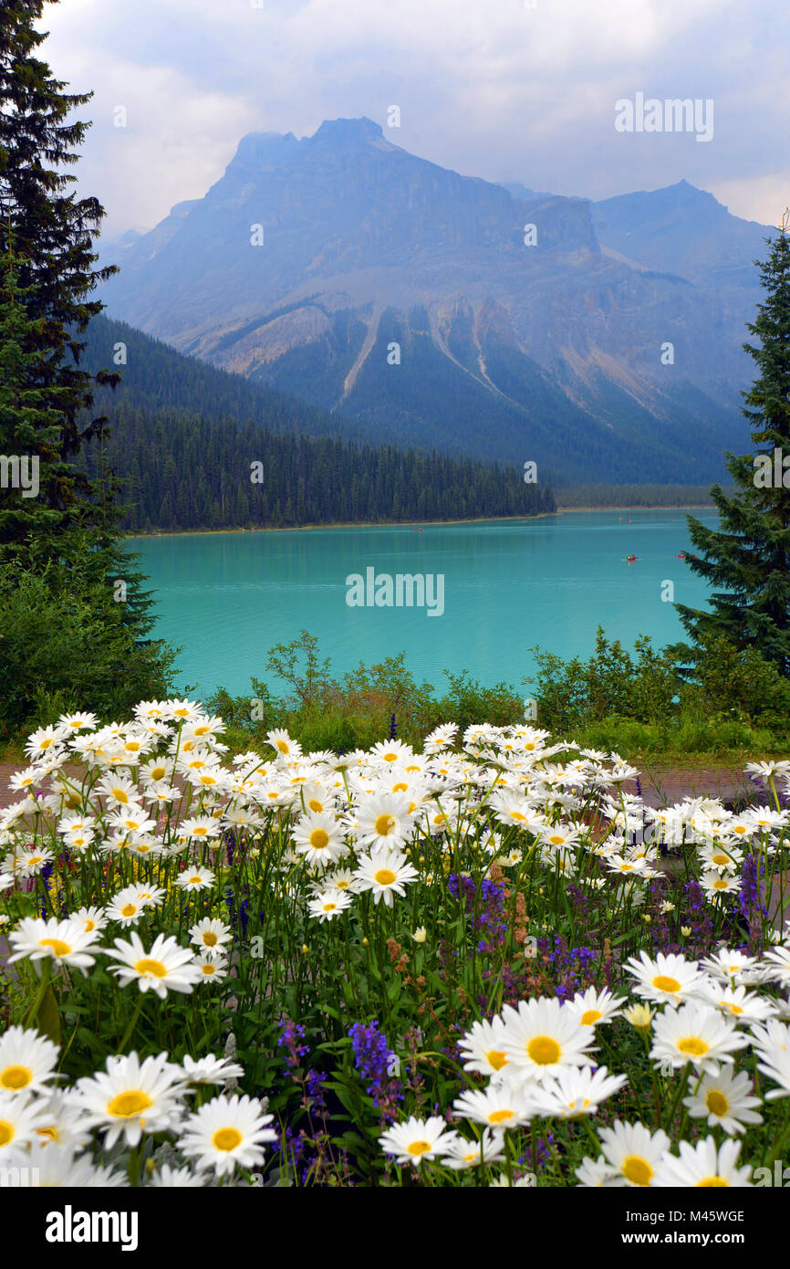 Il Lago di Smeraldo, con colorati fiori estivi, Banff, Canadian Rockies. Vista leggermente sottomesso dagli incendi di agosto 2017 Foto Stock