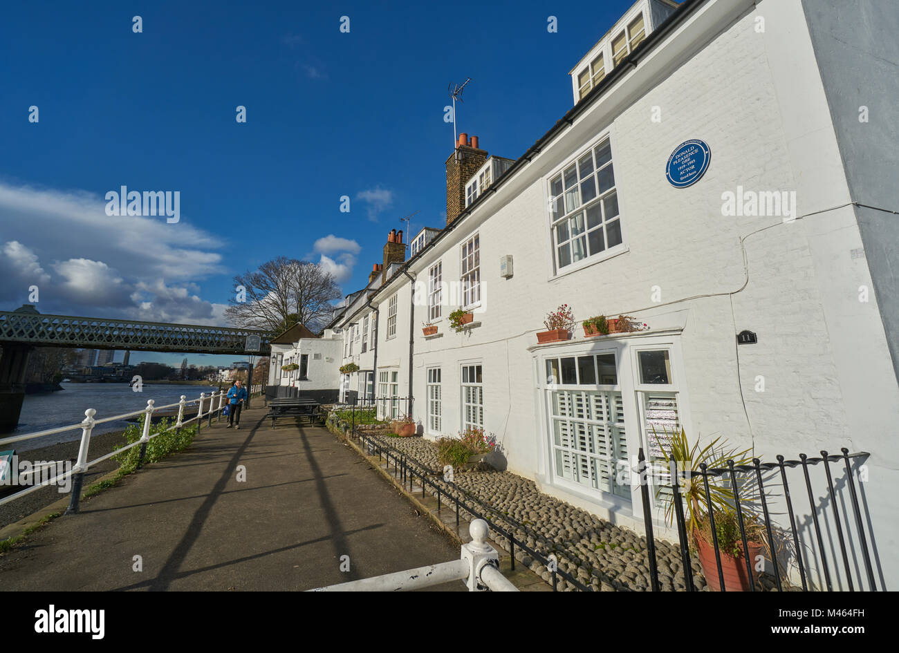 I tori head pub, chiswick Foto Stock